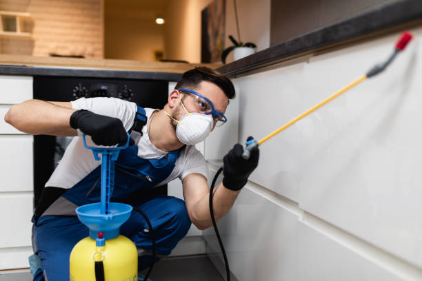 Best Wildlife Control Services  in Brookmont, MD