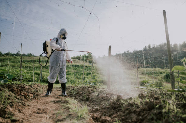Best Best Pest Control Companies  in Brookmont, MD