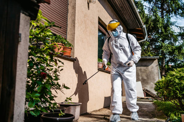 Best Exterminator Services  in Brookmont, MD