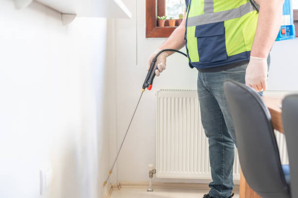 Professional Pest Control in Brookmont, MD