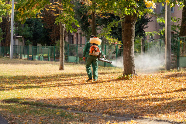 Best Mosquito Control Services  in Brookmont, MD